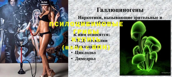 метадон Каменка