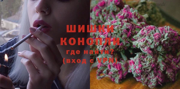 метадон Каменка