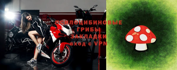 метадон Каменка