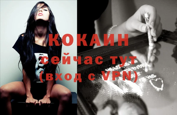 метадон Каменка